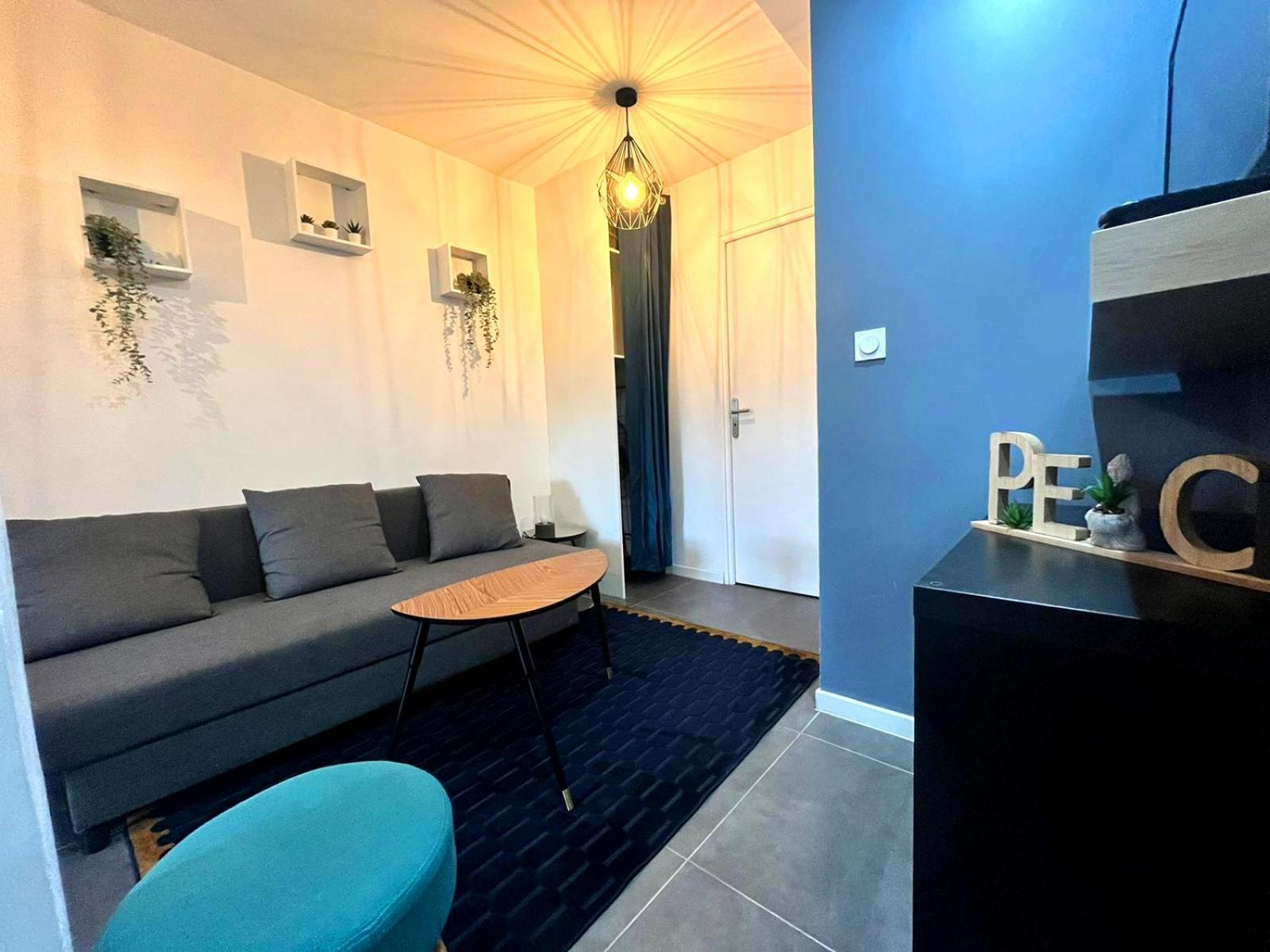 Le Meney Apartment Grenoble Exterior photo